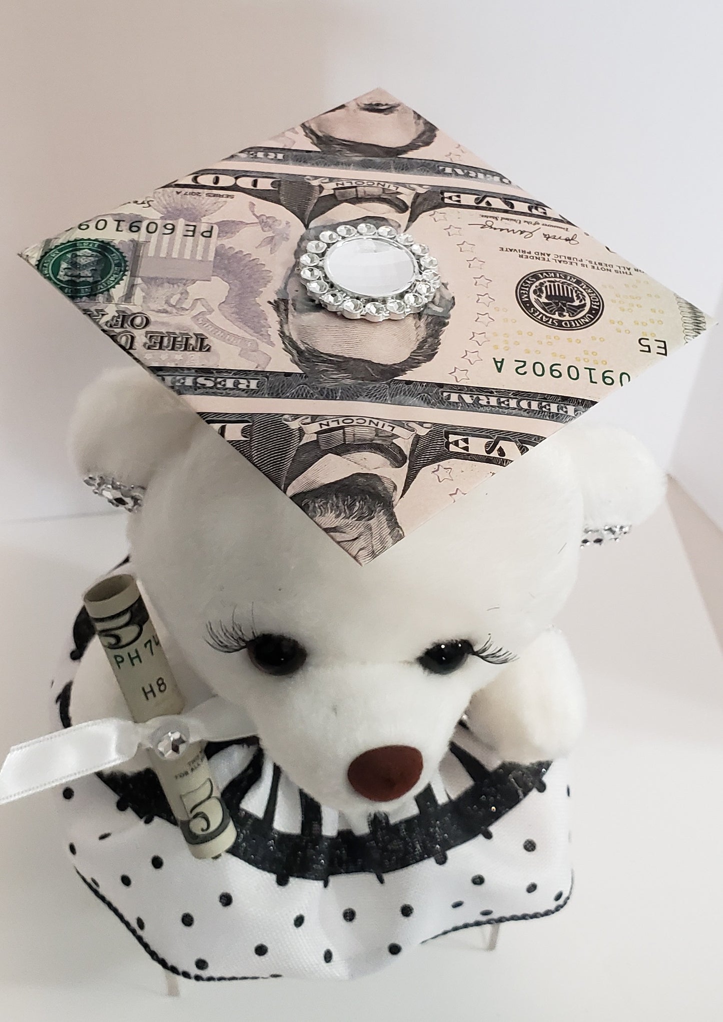 Money graduation dressed bear with bling